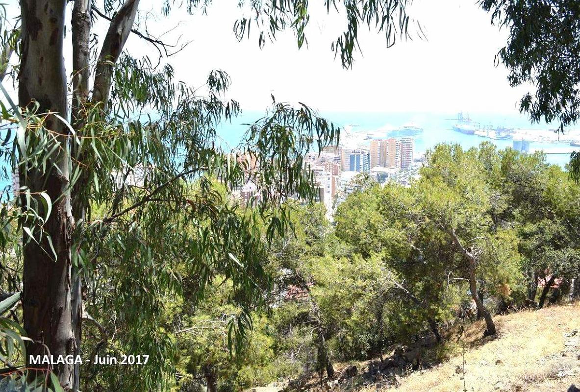016- Malaga vue du Gibralfaro.JPG